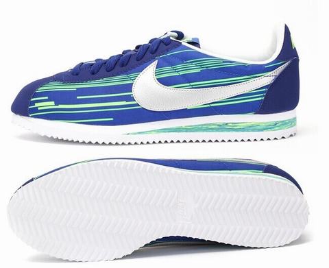 nike cortez nylon paris
